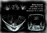 /album/misky/miska-hranata-18-4-2012-jpg/